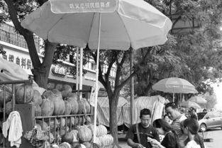 巩义吃瓜新闻,揭秘当地热点事件背后的真相与争议