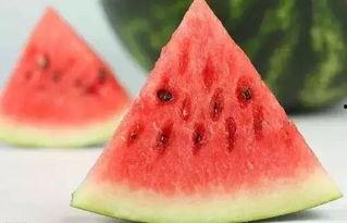 带你吃瓜科普视频,吃瓜群众的趣味科普之旅