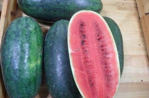 山东古茗吃瓜,吃瓜群众的夏日消暑新宠