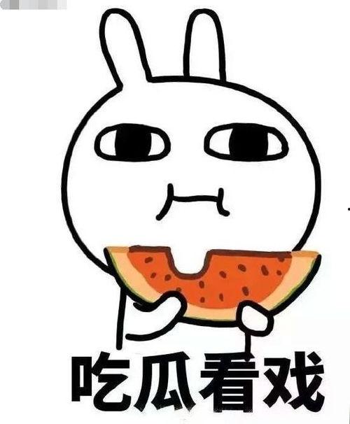 吃瓜宗,揭秘娱乐圈背后的秘密与真相