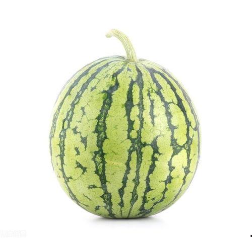 吃瓜小技巧get了吗,轻松掌握吃瓜小技巧